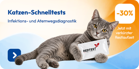 Infektions-_und_Atemwegserkrankungen